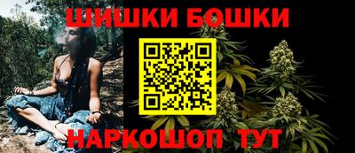 прущие крисы Кингисепп