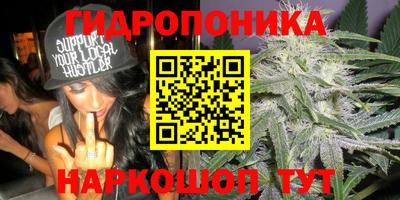 бошки Кимры