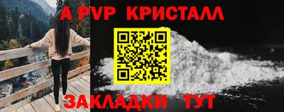 бошки Кимры